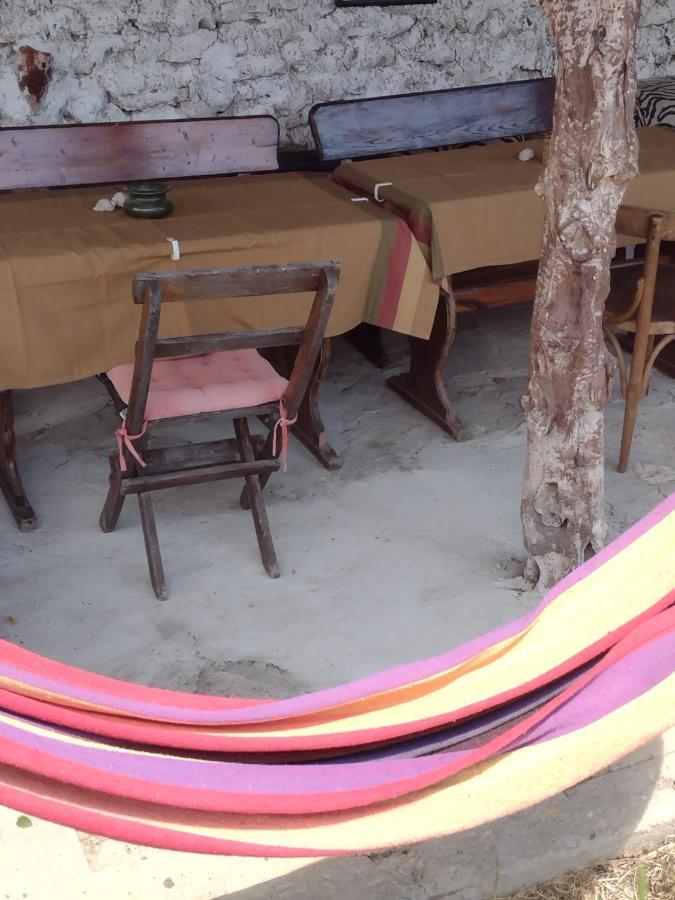 Guest House Viola Ezerets المظهر الخارجي الصورة