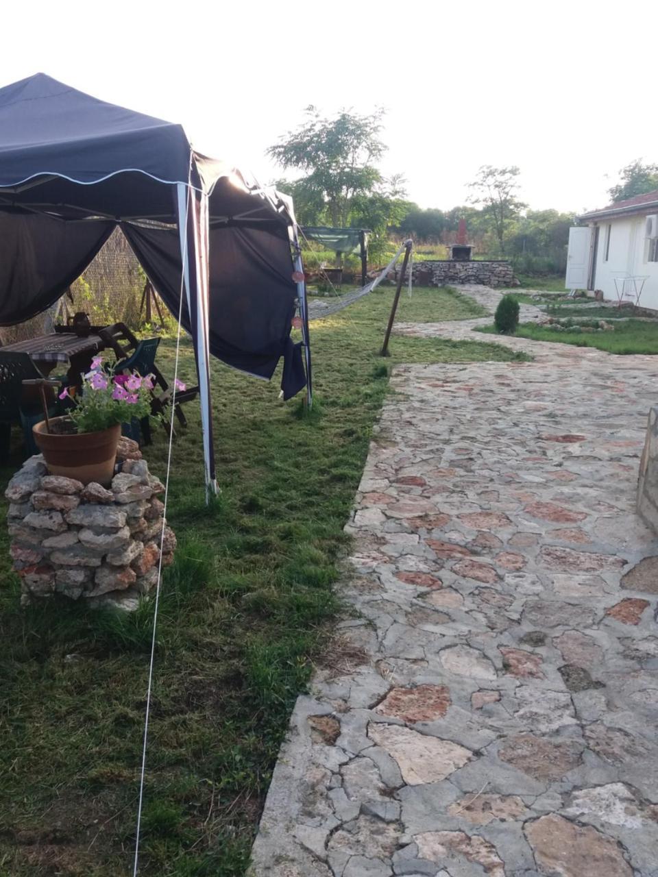 Guest House Viola Ezerets المظهر الخارجي الصورة